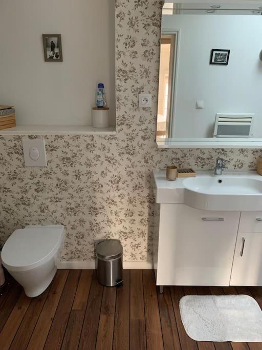 Appartement Duplexcoeur De Ville Metz Kültér fotó